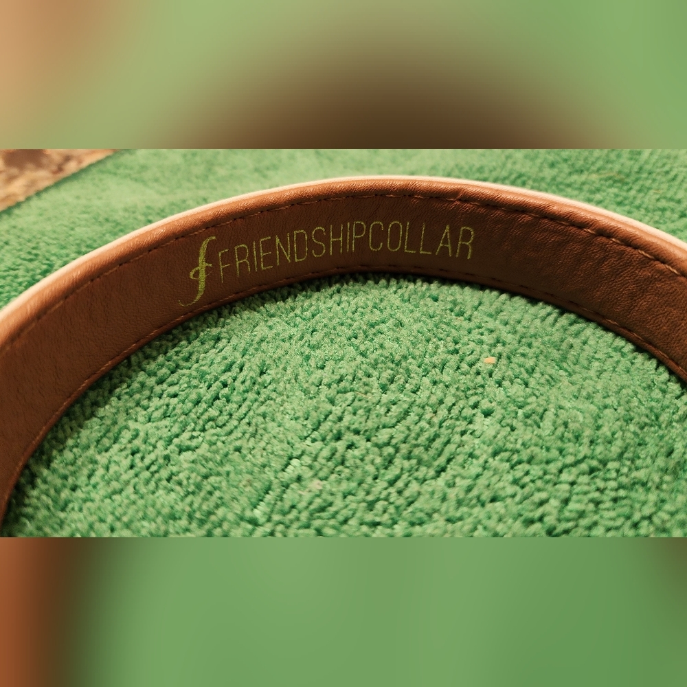 A SPECIAL FRIENDSHIP DOG COLLAR (11 to 14 inch) & Friendship Bracelet - Picture 3 of 12